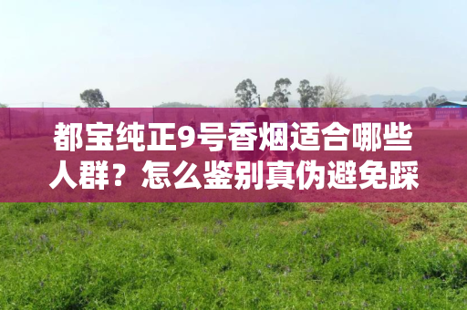 都宝纯正9号香烟适合哪些人群？怎么鉴别真伪避免踩坑？